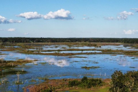 Купить виллу или дом в Белвью, Флорида 3 комнаты, 132.85м2, № 1546326 - фото 4