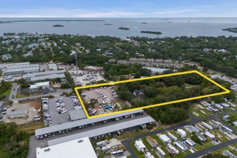Villa ou maison à vendre à Palm Harbor, Floride: 5 chambres, 610.74 m2 № 2429285 - photo 2