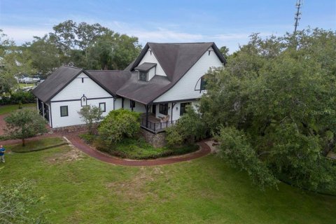 Villa ou maison à vendre à Palm Harbor, Floride: 5 chambres, 610.74 m2 № 2429285 - photo 4