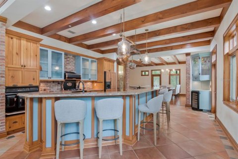 Villa ou maison à vendre à Palm Harbor, Floride: 5 chambres, 610.74 m2 № 2429285 - photo 29