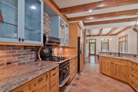 Villa ou maison à vendre à Palm Harbor, Floride: 5 chambres, 610.74 m2 № 2429285 - photo 30