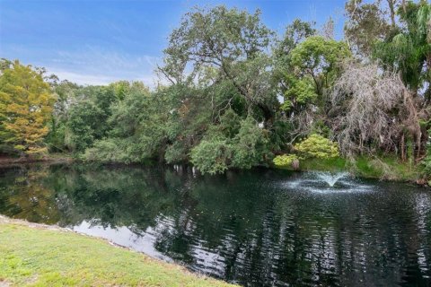 Villa ou maison à vendre à Palm Harbor, Floride: 5 chambres, 610.74 m2 № 2429285 - photo 16