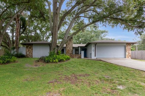 Villa ou maison à vendre à Palm Harbor, Floride: 5 chambres, 610.74 m2 № 2429285 - photo 11