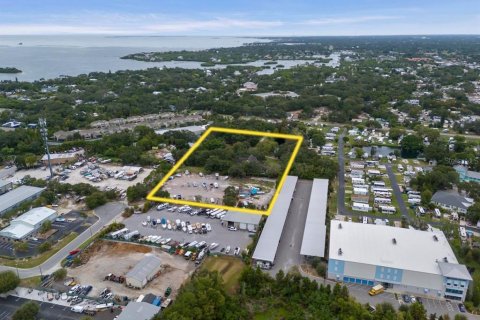 Villa ou maison à vendre à Palm Harbor, Floride: 5 chambres, 610.74 m2 № 2429285 - photo 3