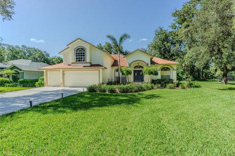 House in Lutz, Florida 4 bedrooms, 303.51 sq.m. № 2157367 - photo 2