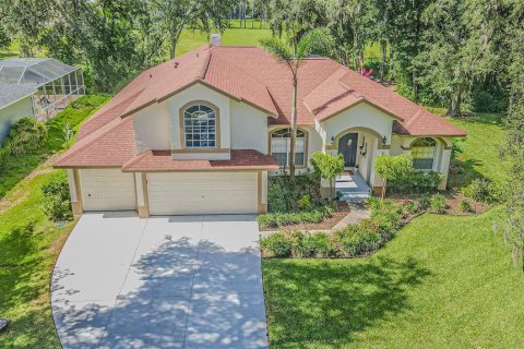 House in Lutz, Florida 4 bedrooms, 303.51 sq.m. № 2157367