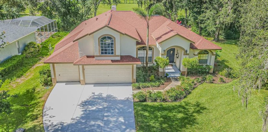 House in Lutz, Florida 4 bedrooms, 303.51 sq.m. № 2157367