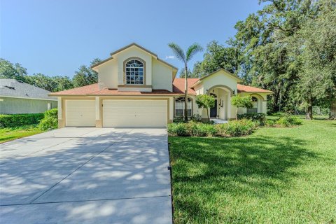 House in Lutz, Florida 4 bedrooms, 303.51 sq.m. № 2157367 - photo 3