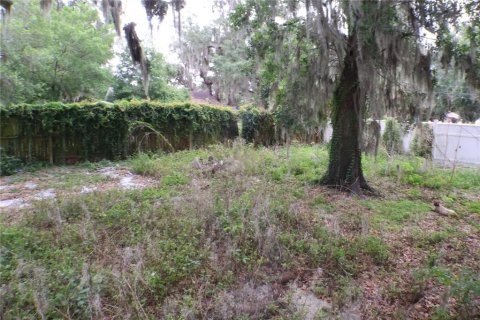 Villa ou maison à vendre à Plant City, Floride: 3 chambres, 109.62 m2 № 2217469 - photo 13