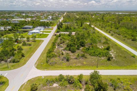 Land in Port Charlotte, Florida № 2161899 - photo 8