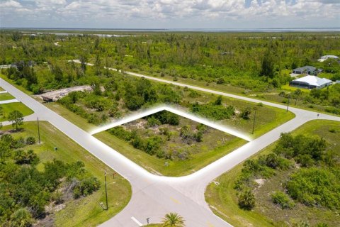 Land in Port Charlotte, Florida № 2161899 - photo 3