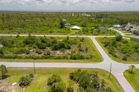 Land in Port Charlotte, Florida № 2161899 - photo 5