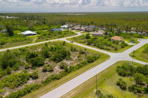 Land in Port Charlotte, Florida № 2161899 - photo 6