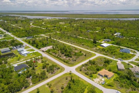 Land in Port Charlotte, Florida № 2161899 - photo 4