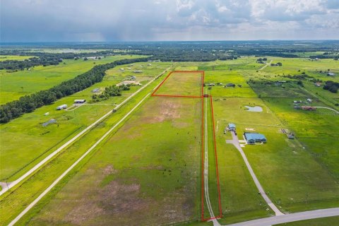 Land in Fort Meade, Florida № 1806987 - photo 7