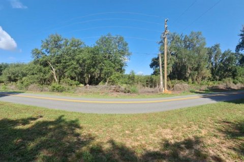 Land in Umatilla, Florida № 2208781