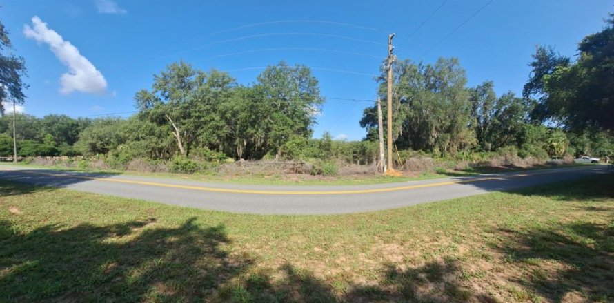 Land in Umatilla, Florida № 2208781