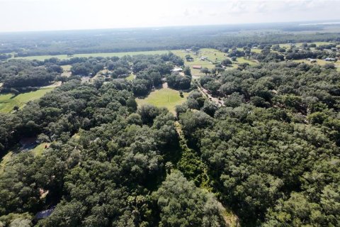 Land in Umatilla, Florida № 2208781 - photo 2