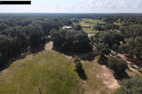 Land in Umatilla, Florida № 2208781 - photo 5