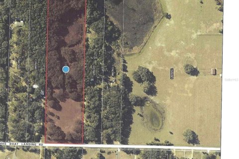 Land in Umatilla, Florida № 2208781 - photo 9