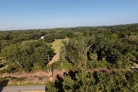 Land in Umatilla, Florida № 2208781 - photo 3
