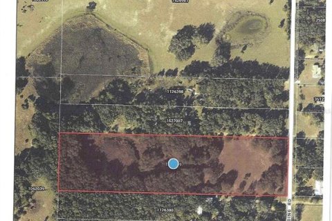 Land in Umatilla, Florida № 2208781 - photo 8