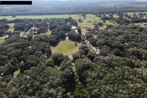Land in Umatilla, Florida № 2208781 - photo 6