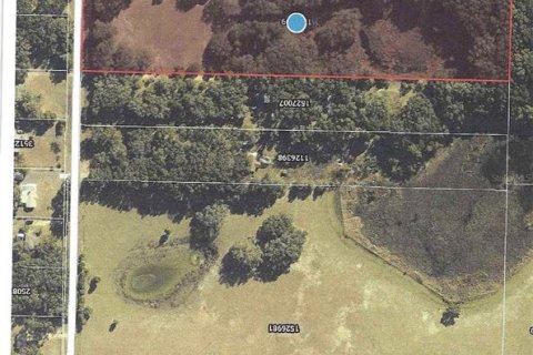 Land in Umatilla, Florida № 2208781 - photo 10