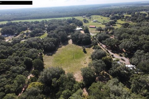 Land in Umatilla, Florida № 2208781 - photo 7
