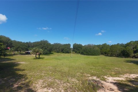 Land in Umatilla, Florida № 2208781 - photo 4