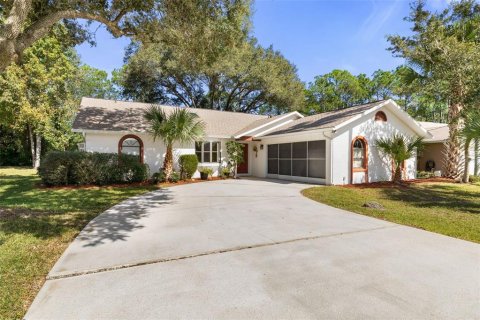 Villa ou maison à Palm Coast, Floride 3 chambres, 171.87 m2 № 2431025