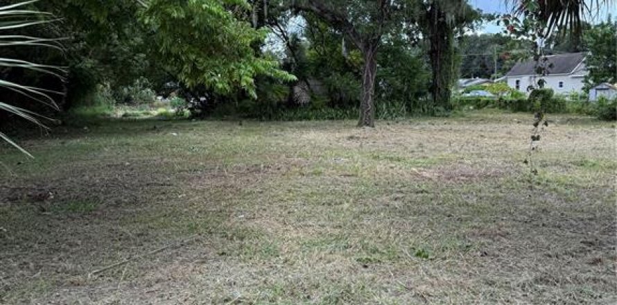 Terrain à Tampa, Floride № 1905798