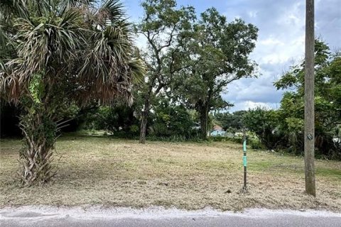 Terrain à vendre à Tampa, Floride № 1905798 - photo 3