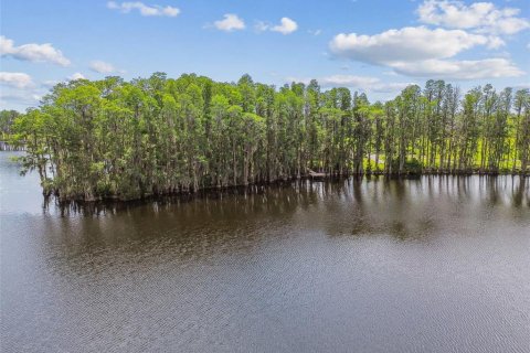 Villa ou maison à vendre à Lutz, Floride: 3 chambres, 220.74 m2 № 1784890 - photo 23
