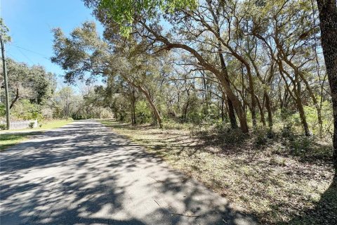 Land in Chiefland, Florida № 2158843 - photo 3