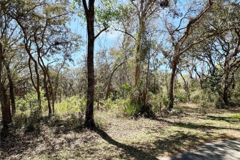 Land in Chiefland, Florida № 2158843 - photo 4