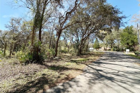Land in Chiefland, Florida № 2158843 - photo 2