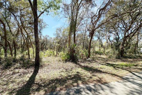 Land in Chiefland, Florida № 2158843