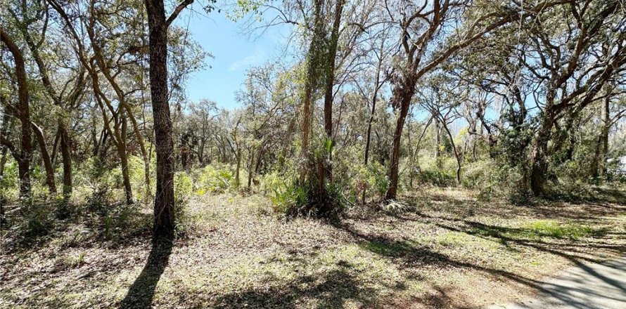 Land in Chiefland, Florida № 2158843