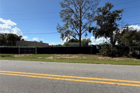 Immobilier commercial à louer à Eustis, Floride № 2108229 - photo 21