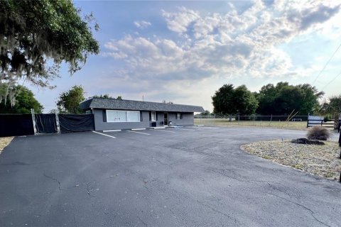 Immobilier commercial à louer à Eustis, Floride № 2108229 - photo 2