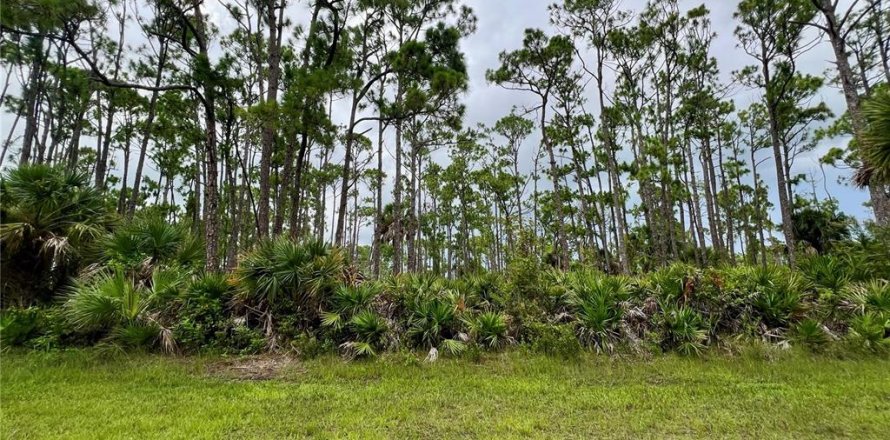 Terrain à Port Charlotte, Floride № 2272936