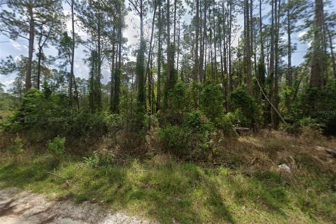 Land in Georgetown, Florida № 2232888