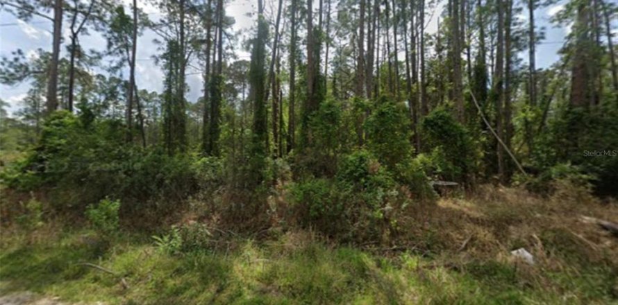 Terrain à Georgetown, Floride № 2232888