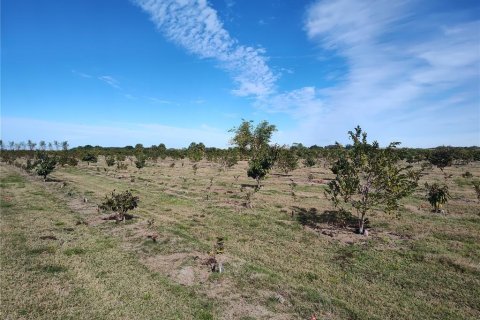 Terrain à vendre à Arcadia, Floride № 2094534 - photo 17