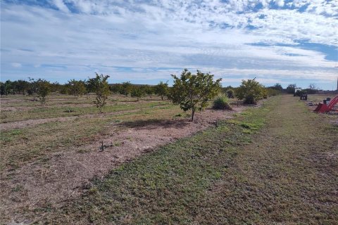 Terrain à vendre à Arcadia, Floride № 2094534 - photo 30