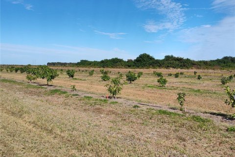 Terrain à vendre à Arcadia, Floride № 2094534 - photo 20