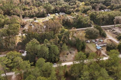 Terrain à vendre à Ocala, Floride № 2160235 - photo 20