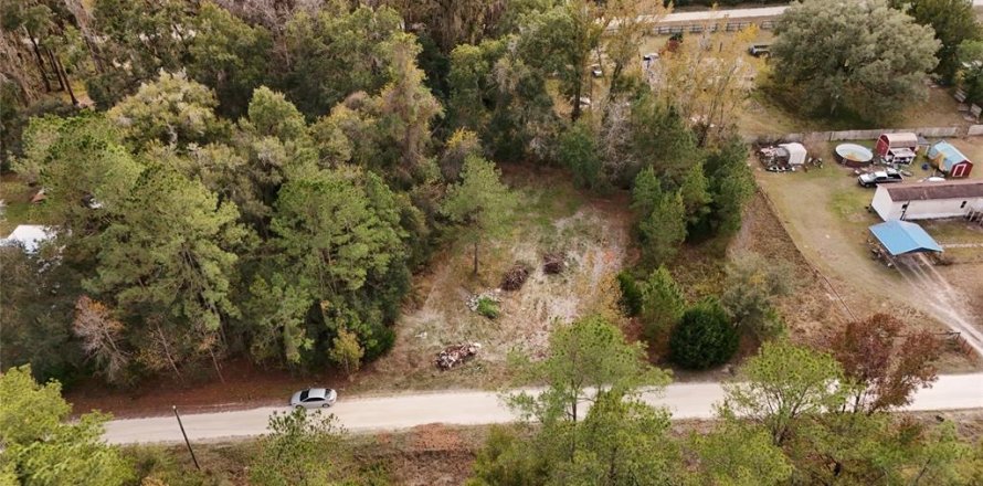 Terrain à Ocala, Floride № 2160235