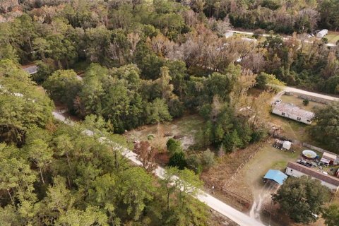 Terrain à vendre à Ocala, Floride № 2160235 - photo 12